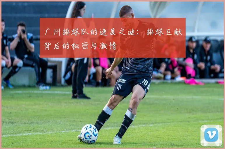 广州排球队的速度之谜：排球巨献背后的秘密与激情